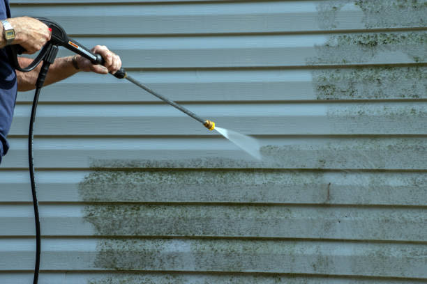 Local Pressure Washing Services in Gray, LA