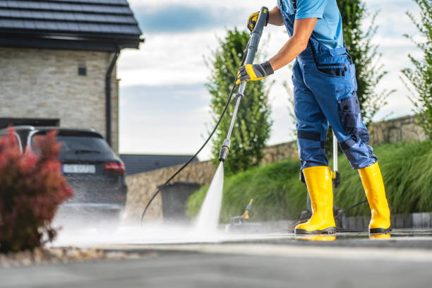 Best Roof Power Washing Services  in Gray, LA